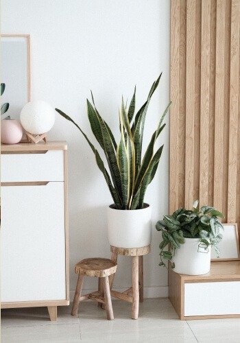 handcrafted furniture in raipur